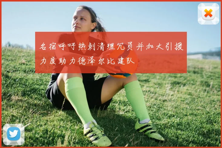 名宿呼吁热刺清理冗员并加大引援力度助力德泽尔比建队