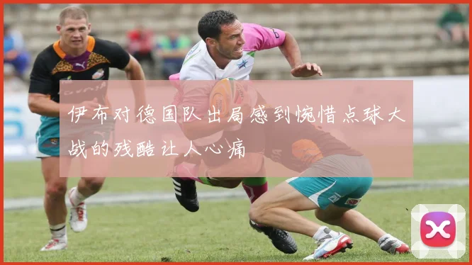 伊布对德国队出局感到惋惜点球大战的残酷让人心痛