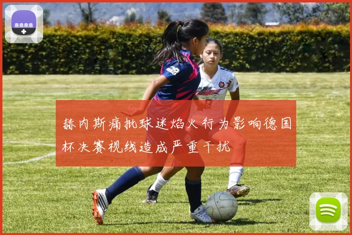 赫内斯痛批球迷焰火行为影响德国杯决赛视线造成严重干扰